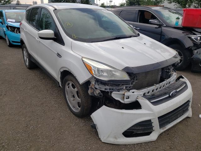 FORD ESCAPE SE 2014 1fmcu0gx0eub17982