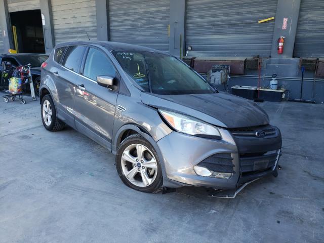 FORD ESCAPE SE 2014 1fmcu0gx0eub80743