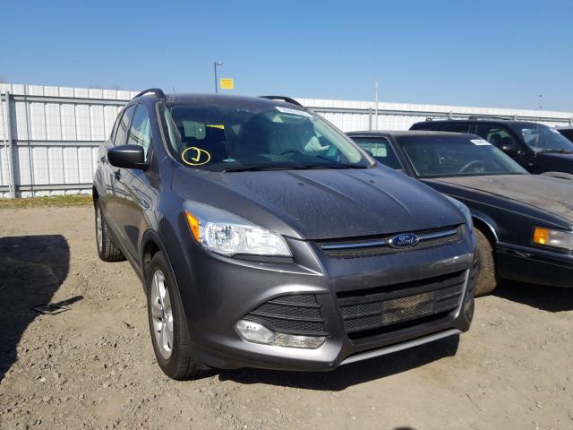 FORD ESCAPE SE 2014 1fmcu0gx0eub80774