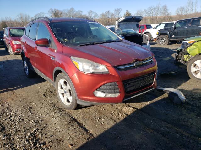 FORD ESCAPE SE 2014 1fmcu0gx0eub98286