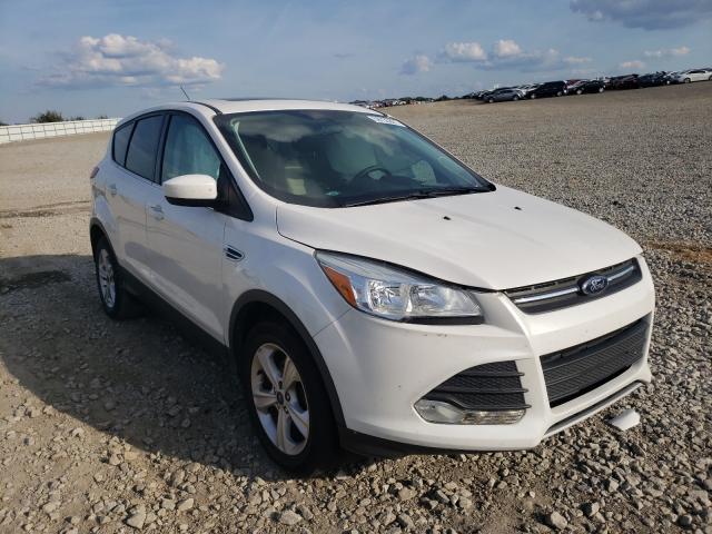 FORD ESCAPE SE 2014 1fmcu0gx0euc06905