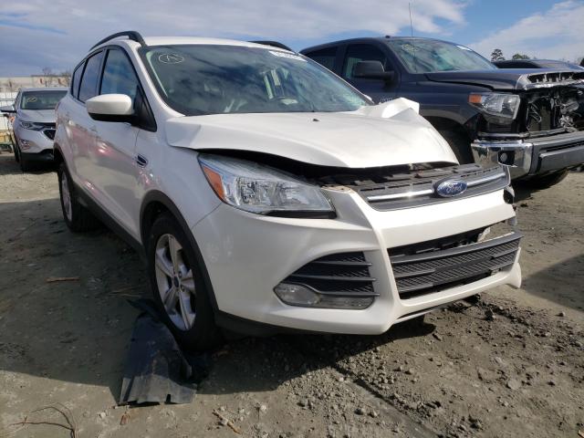 FORD ESCAPE SE 2014 1fmcu0gx0euc14308