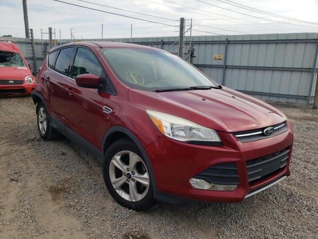 FORD ESCAPE SE 2014 1fmcu0gx0euc16933