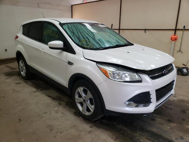 FORD ESCAPE SE 2014 1fmcu0gx0euc32419