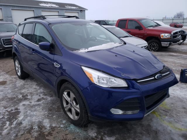 FORD ESCAPE SE 2014 1fmcu0gx0euc64691