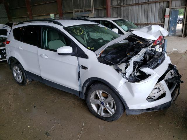 FORD ESCAPE SE 2014 1fmcu0gx0euc97965