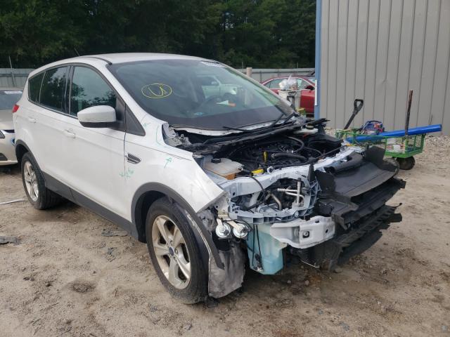 FORD ESCAPE SE 2014 1fmcu0gx0euc98128