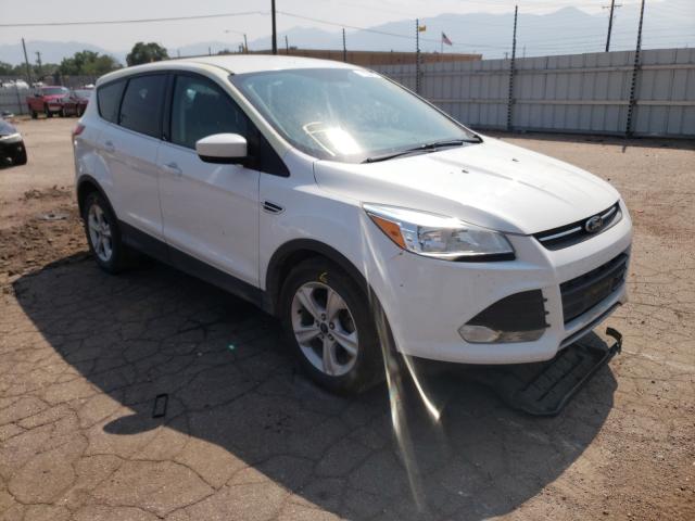 FORD ESCAPE SE 2014 1fmcu0gx0eud03067