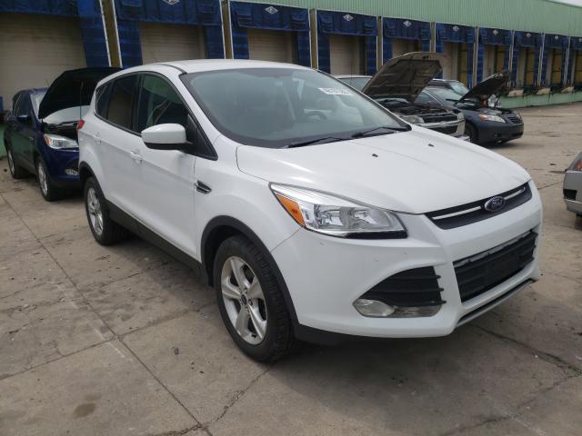 FORD ESCAPE SE 2014 1fmcu0gx0eud59302