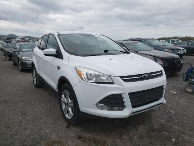 FORD ESCAPE SE 2014 1fmcu0gx0eud67089