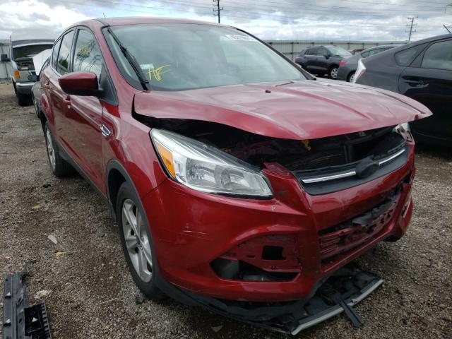 FORD ESCAPE SE 2014 1fmcu0gx0eue08045