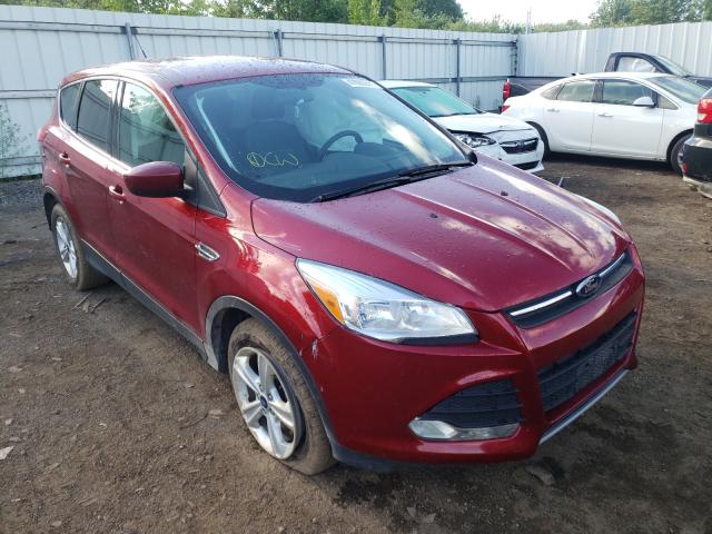 FORD ESCAPE SE 2014 1fmcu0gx0eue23242