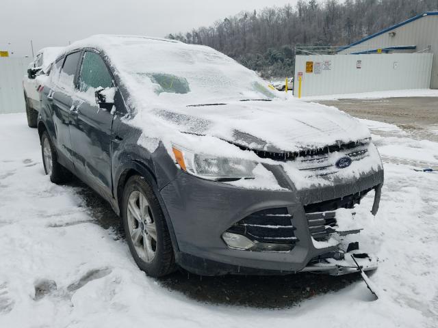 FORD ESCAPE SE 2014 1fmcu0gx0eue40767