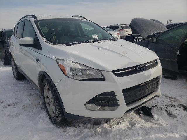 FORD ESCAPE SE 2013 1fmcu0gx1dua99653