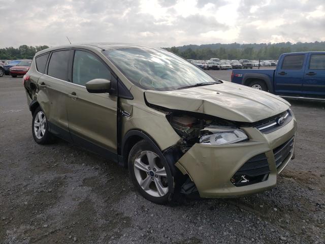 FORD ESCAPE SE 2013 1fmcu0gx1dub21456