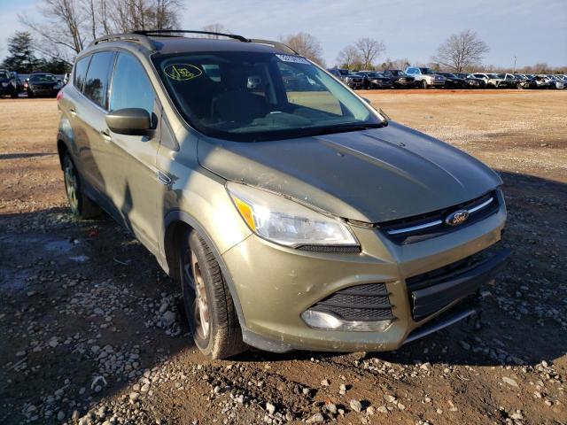 FORD ESCAPE SE 2013 1fmcu0gx1dub56398