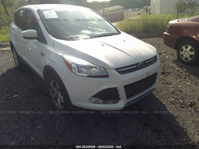 FORD ESCAPE 2013 1fmcu0gx1dud07286