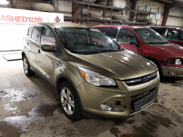 FORD ESCAPE SE 2013 1fmcu0gx1dud15775