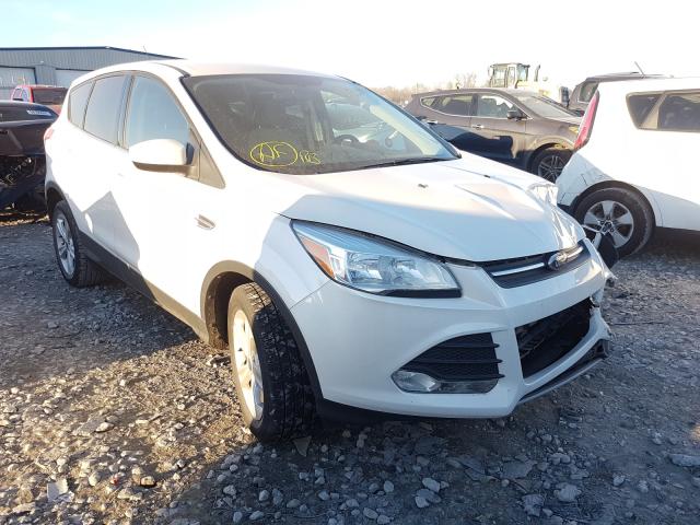 FORD ESCAPE SE 2013 1fmcu0gx1dud53670