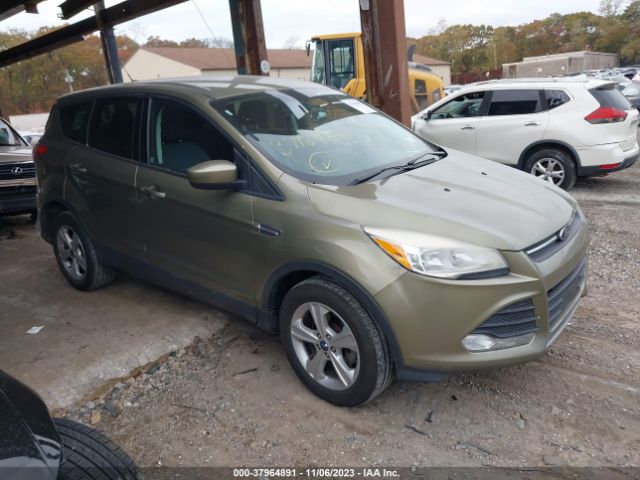 FORD ESCAPE 2013 1fmcu0gx1dud65298