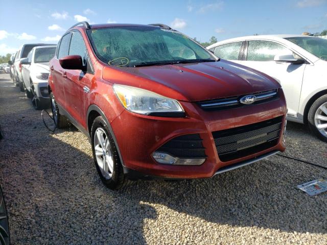 FORD ESCAPE SE 2014 1fmcu0gx1eua60241