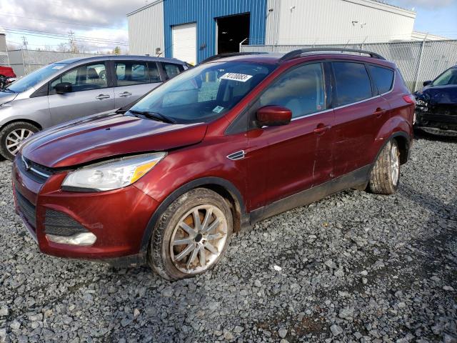 FORD ESCAPE 2014 1fmcu0gx1eub03105