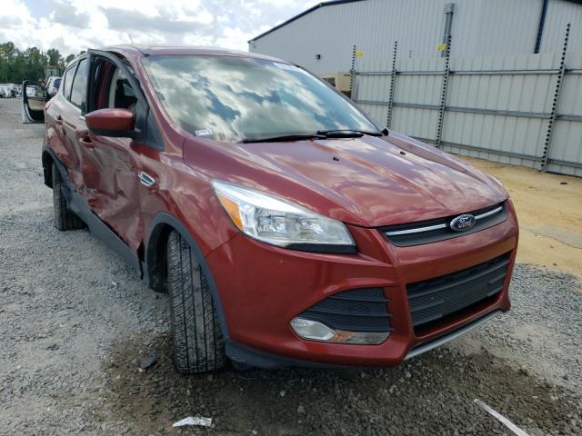 FORD ESCAPE SE 2014 1fmcu0gx1eub22110