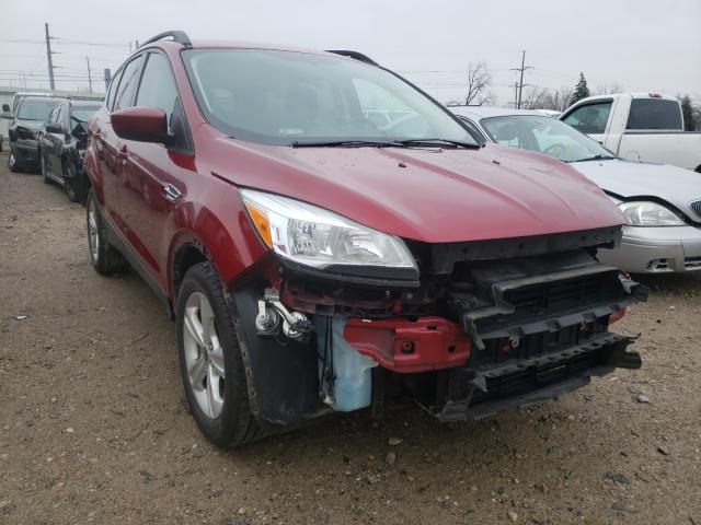 FORD ESCAPE SE 2014 1fmcu0gx1eub44124