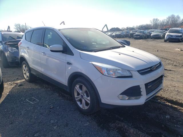 FORD ESCAPE SE 2014 1fmcu0gx1eub57374