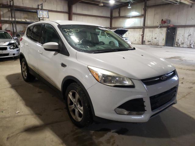 FORD ESCAPE SE 2014 1fmcu0gx1eub70982