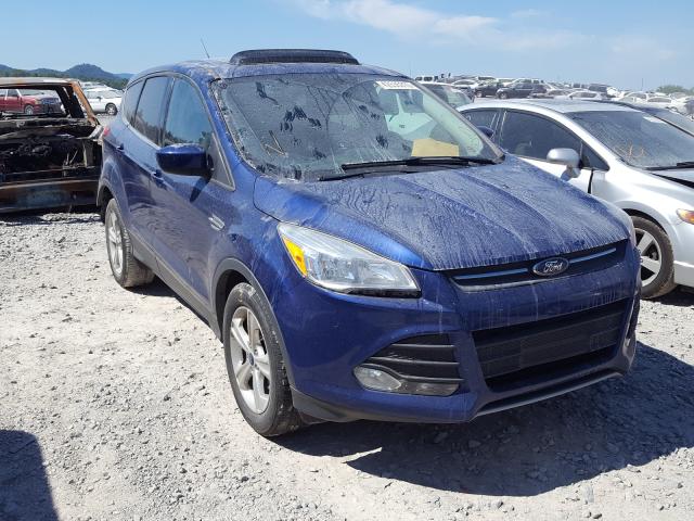 FORD ESCAPE SE 2014 1fmcu0gx1euc29125