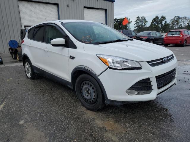 FORD ESCAPE SE 2014 1fmcu0gx1eud02395