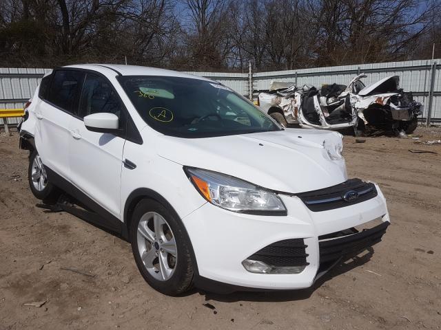 FORD ESCAPE SE 2014 1fmcu0gx1eud02526