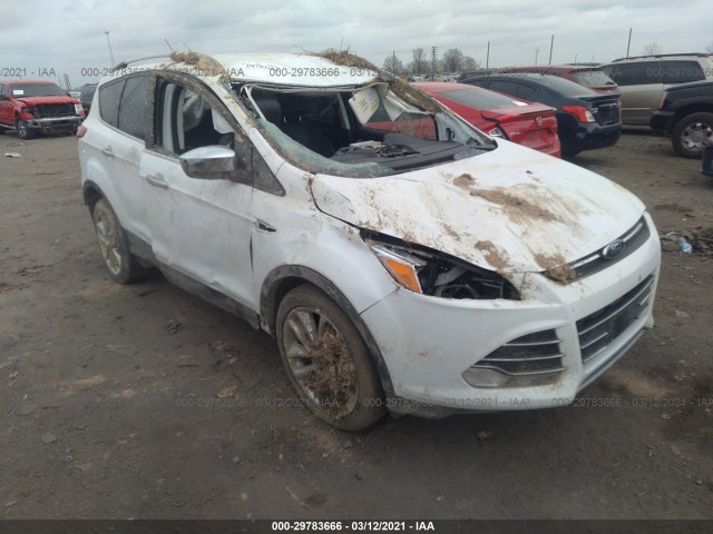 FORD ESCAPE 2016 1fmcu0gx1gub19873