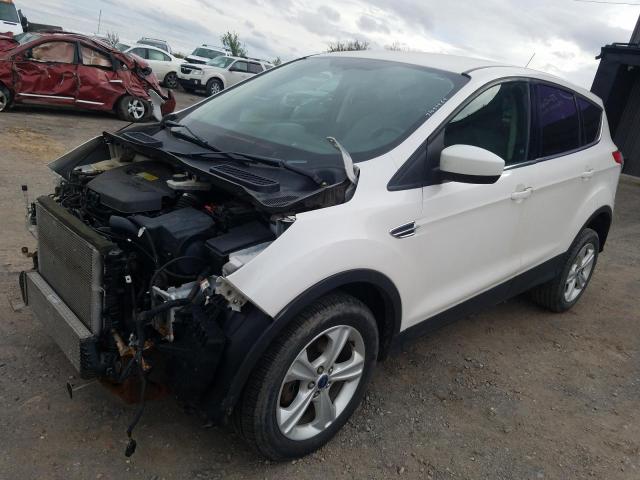 FORD ESCAPE SE 2013 1fmcu0gx2dua89004