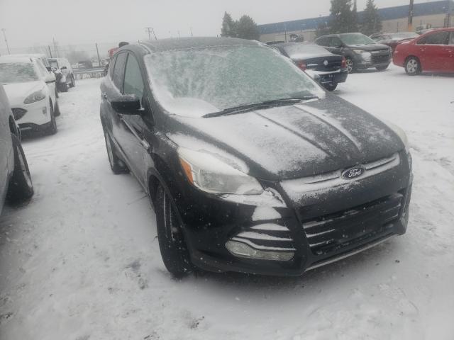 FORD ESCAPE SE 2013 1fmcu0gx2dub45295