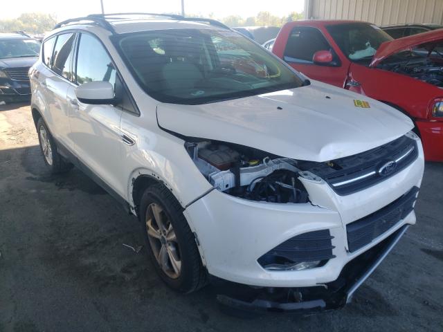 FORD ESCAPE SE 2013 1fmcu0gx2duc42898