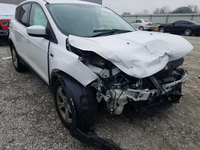 FORD ESCAPE SE 2013 1fmcu0gx2dud03635