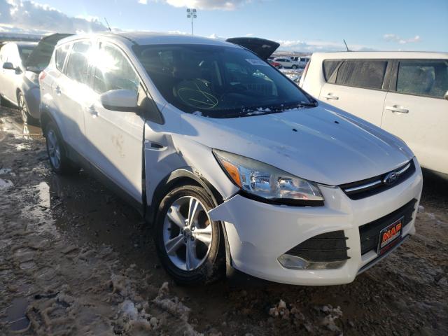 FORD ESCAPE SE 2013 1fmcu0gx2dud24744