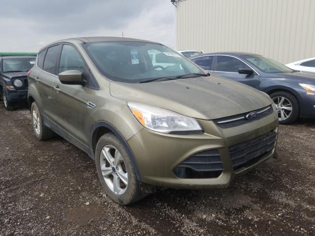 FORD ESCAPE SE 2013 1fmcu0gx2dud80036