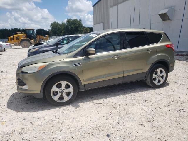 FORD ESCAPE 2013 1fmcu0gx2dud83891