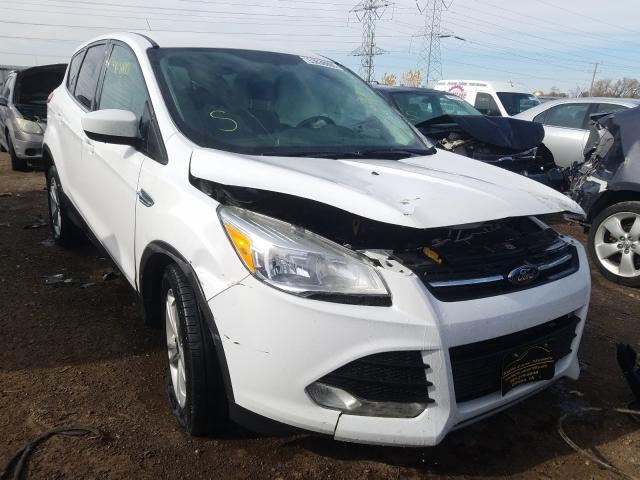 FORD ESCAPE SE 2014 1fmcu0gx2eub05963