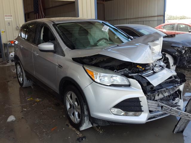 FORD ESCAPE SE 2014 1fmcu0gx2eub71638