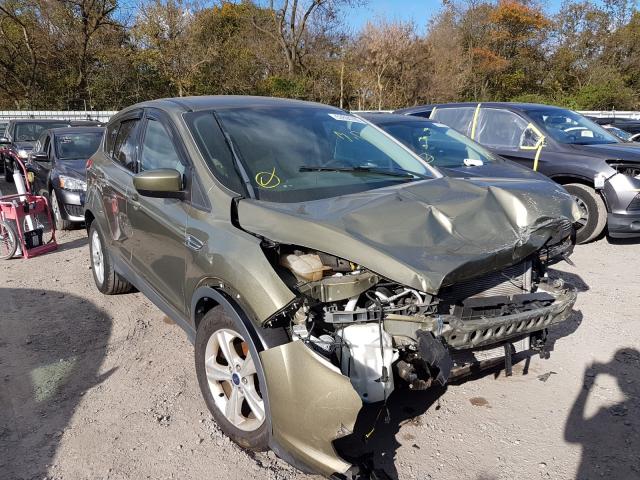 FORD ESCAPE SE 2014 1fmcu0gx2eub73289