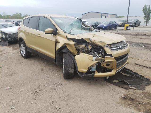 FORD ESCAPE SE 2014 1fmcu0gx2eub96376