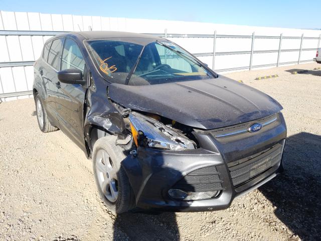 FORD NULL 2016 1fmcu0gx2guc28374