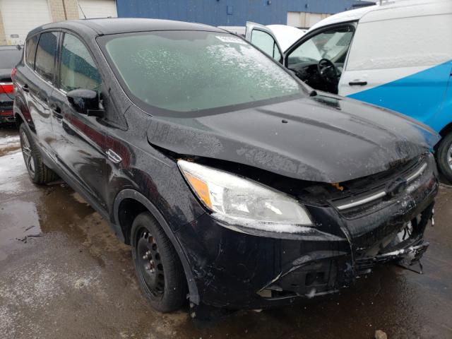 FORD ESCAPE SE 2013 1fmcu0gx3dub62736