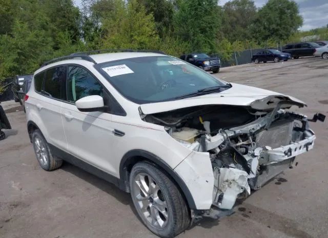 FORD ESCAPE 2013 1fmcu0gx3dub93940