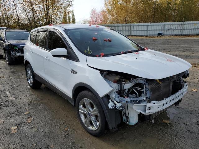 FORD ESCAPE SE 2013 1fmcu0gx3duc16360