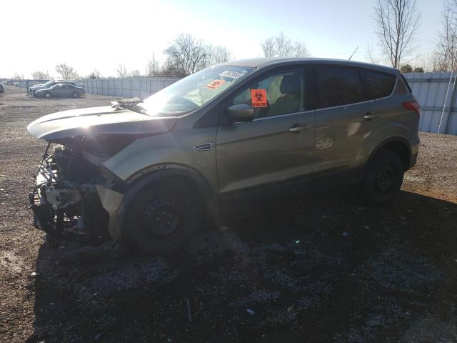 FORD ESCAPE 2013 1fmcu0gx3duc88935